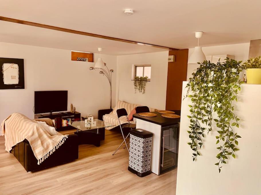 Appartement Parenthese De Vie - Independant Cernay (Haut-Rhin)
